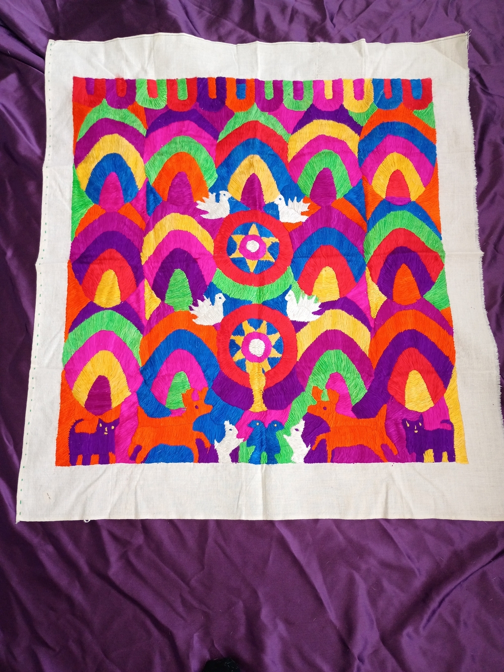 Guatemalan Paya